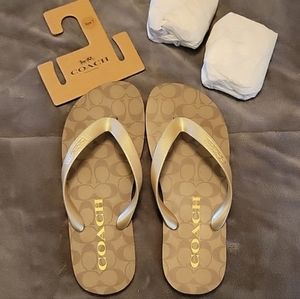 Coach flip-flops